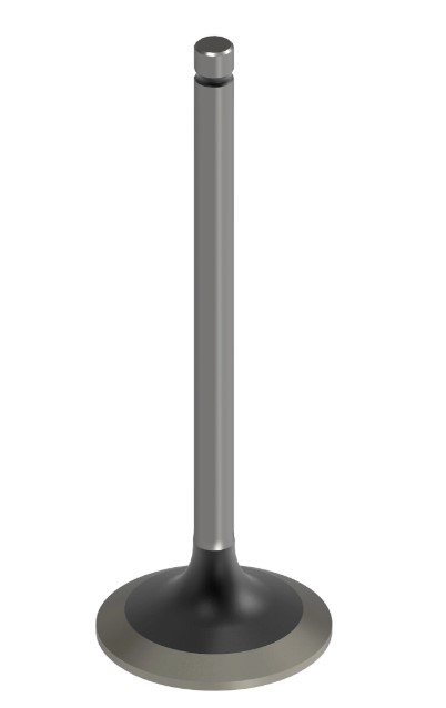 Intake Valve - Standard - R98062