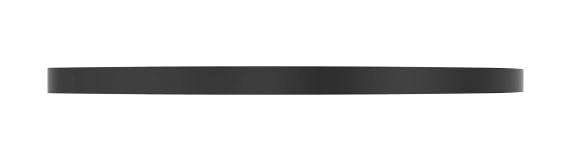 U-Joint Internal Snap Ring - N119316