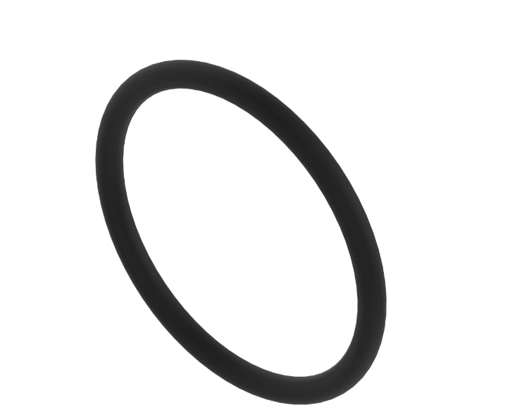 O-Ring - T161181