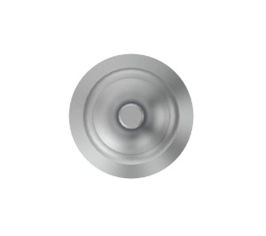 Intake Valve - R527333