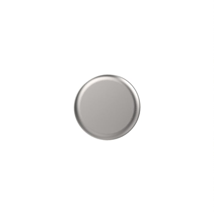 Needle Roller Pin Bearing - R94655