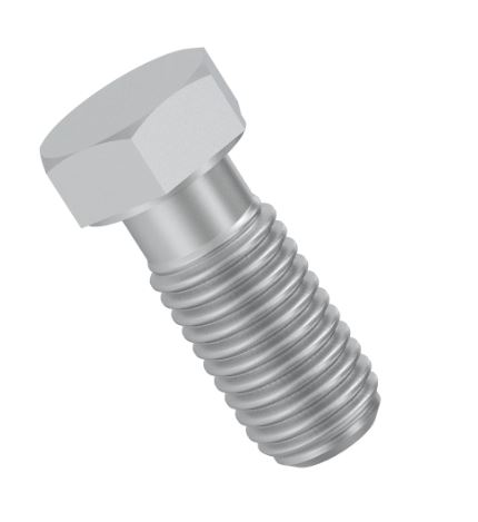 Hexagonal Head Bolt - T297338