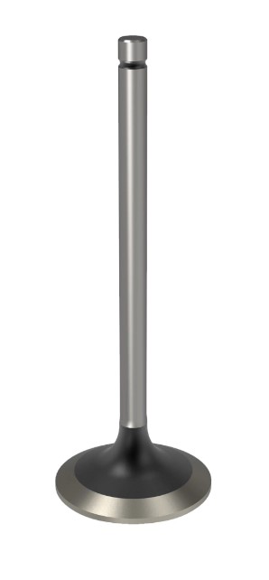 Intake Valve - Standard - R98062