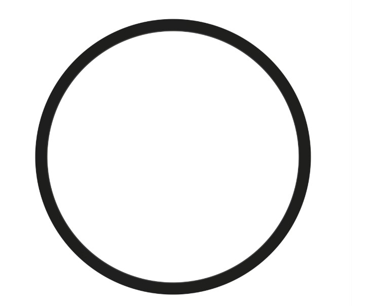 Back-Up Ring with Tab - R79122