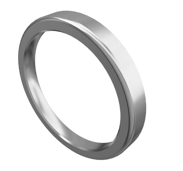 Valve Seat Insert - R528549