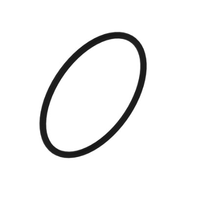 O-Ring - Durometer 90 - Nominal Section (IN): 0.0720 - R77673