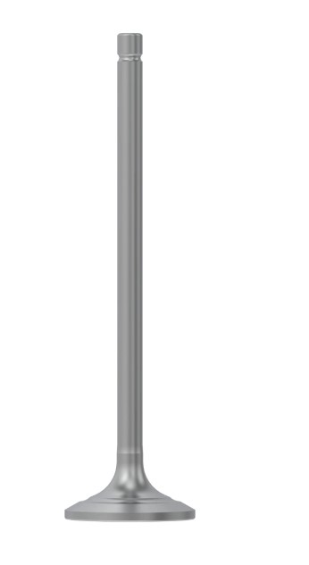 Intake Valve - R527333