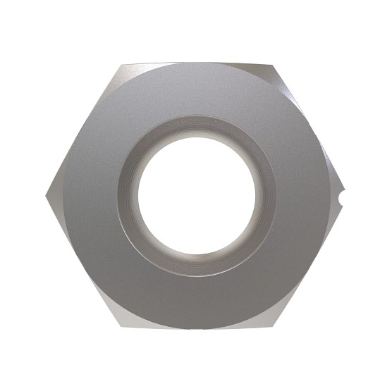 Hexagonal Nut - Inches - 50014334