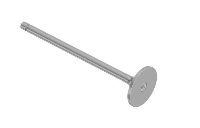 Intake Valve - R527333
