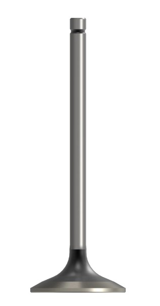 Intake Valve - Standard - R98062
