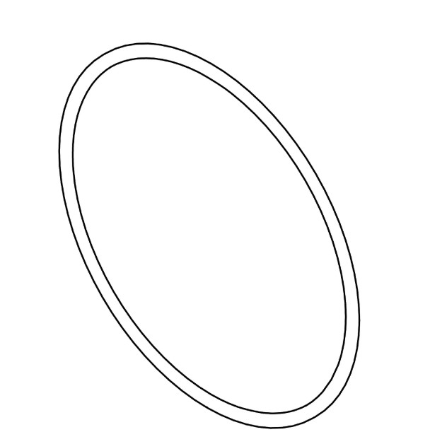 Back-Up Ring - R81864