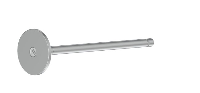 Intake Valve - R527333